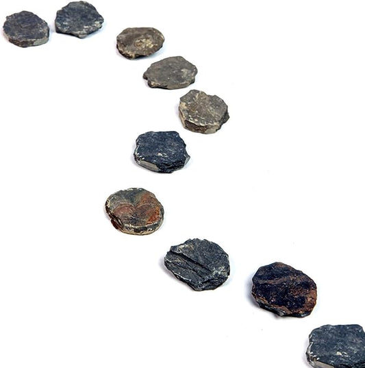 10Pcs Natural Miniature Small Stepping Stone Figure.Fairy Garden Supplies.Terrarium Accessories.Pathway Stones.Stairs.Shrimp Tank Decor.Bonsai Forest/Patio Pots Decoration.