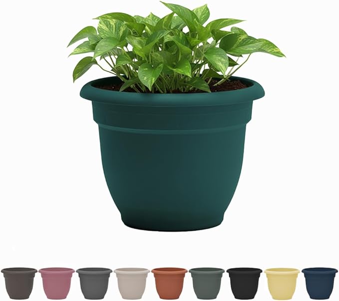 Bloem Ariana 10" Charleston Round Self-Watering Resin Planter Pot - Rolled Rim Indoor and Outdoor Gardening Planter