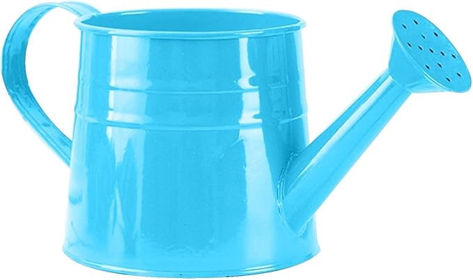 Watering Can Gardening Tool Accessories, Sprinkling Can 1L Metal Flower Garden Watering Can for Outdoor Indoor Plants Lawn Garden (Blue)