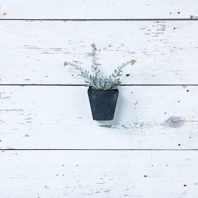 Root & Vessel Self Watering Wall Planters for Indoor or Outdoor Plants, Unique Marbled Wall Pot, Made of Eco-Friendly Blend of Stone and Plastic, Black, 5.5"