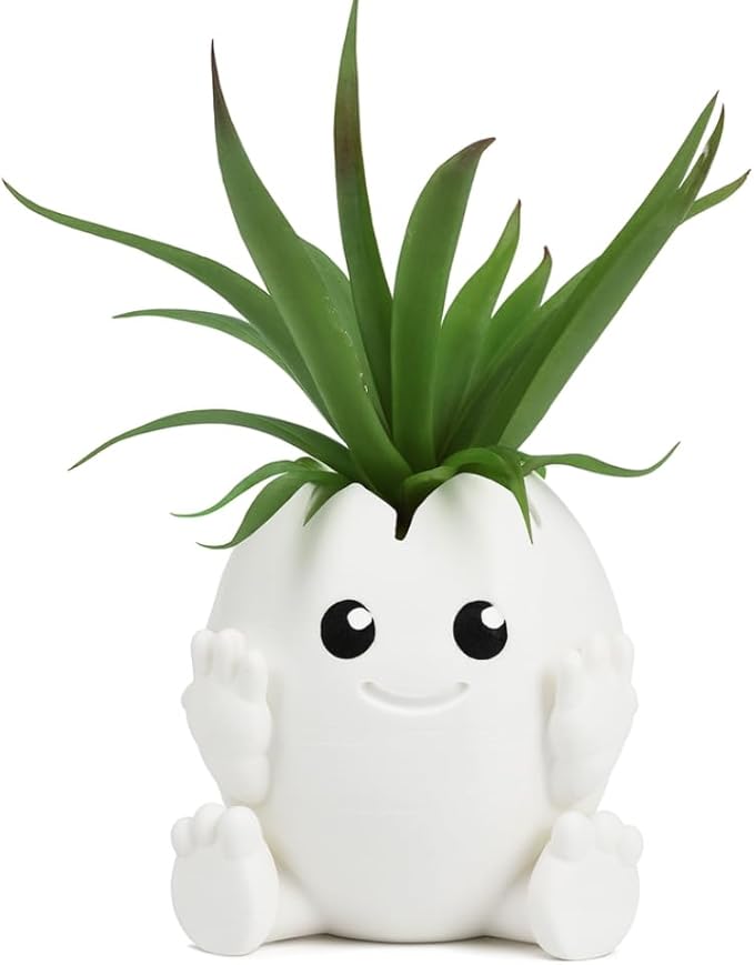 Cute Egg Shell Planter | Unique Dinosaur Tabletop Indoor or Outdoor Planter Pot | Flowers, Succulents, or Vegetable Pot | Made in USA (Cute Egg, Large)