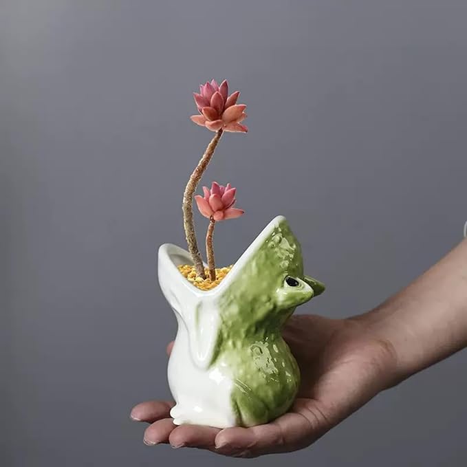 Cartoon Frog Planter - Ceramic Succulent Planter Pot with Drainage, Cute Home Decor Gift for Plant Lovers, Indoor/Outdoor Mini Flower Pot for Desk, Garden, Windowsill by Home-n-Gifts 1pcs