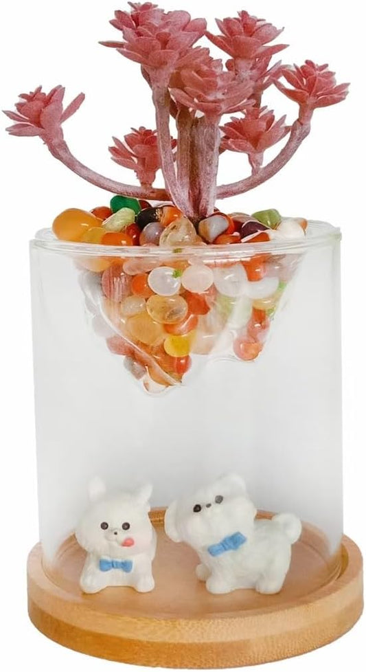 Small Clear Decorative Glass Terrarium Cloche Hole - 4 x 4X 4 Inches Glass Dome with Base for Miniature Succulents - Display Storage Indoor Home Garden Office Tabletop Decor