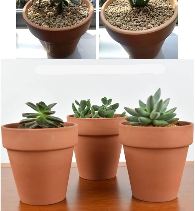 OLEEP Clay Pots - 10 Pack (5.5 inch) Large Terra Cotta Plant Pot with Drainage Hole,Garden Pots, Clay Planters Pot, Terracotta Pot for Indoor Outdoor Plant