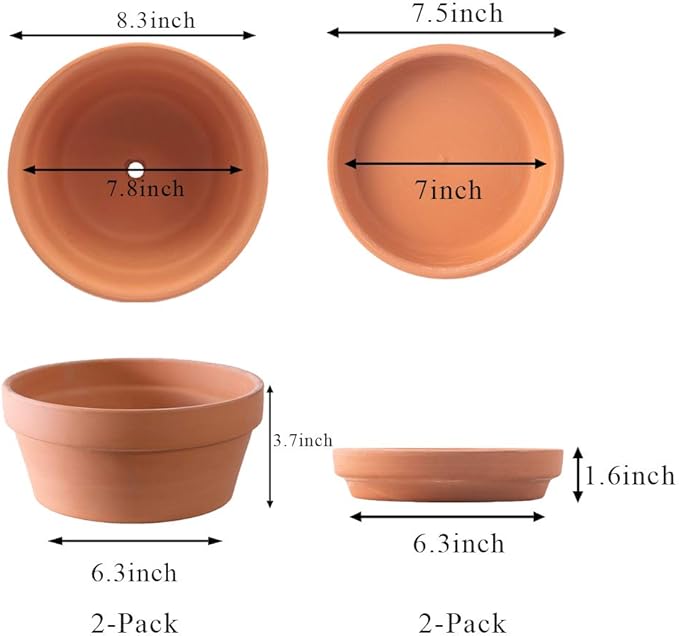 Yishang Large Terracotta Pots with Saucer/Tray for Succulent - 8 Inch Cactus Plant Containers Indoor Garden Bonsai Pots with Drainage Hole - Set of 2, Unglazed Clay Ceramic Pottery Planter