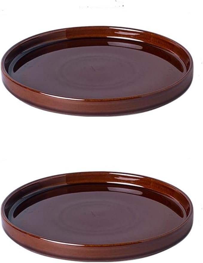 Ceramic Plant Saucer 5 Inch, 2 Pack Round Plant Saucers for Indoors/Outdoors, Flower Pot Saucers for Holding Water Drips, Ceramic Plant Water Trays for pots Planter (Reactive Glaze Brown)