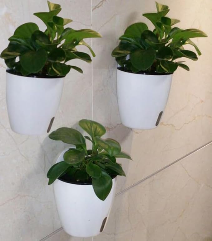 Visible Water Level Self Watering Planter,Hanging Planters,Wall Mounted Plants Holder,Small Flower pots Indoor Out Flowerpot with 3 Hooks Plastic Pots for Plants 3 Pack (White, 5.5inch)