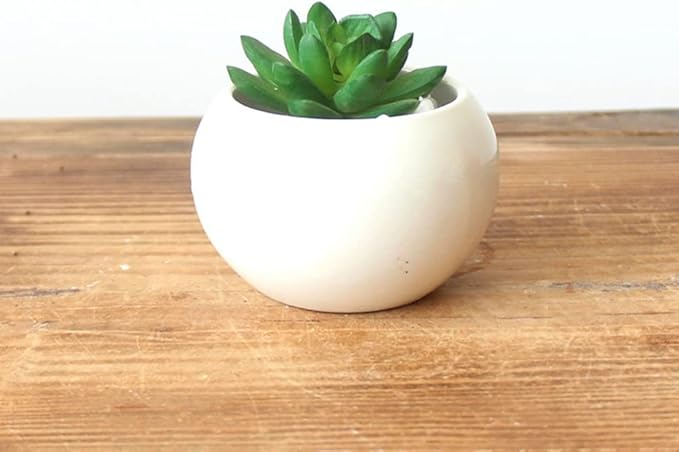 Angoily White Ceramic Plant Pots: Mini Pots Outdoor Garden Planters- Decorative Indoor Plant Pots- Garden Supplies Flowerpot Vase- Plants Succulent with Drainage Hole& Saucer