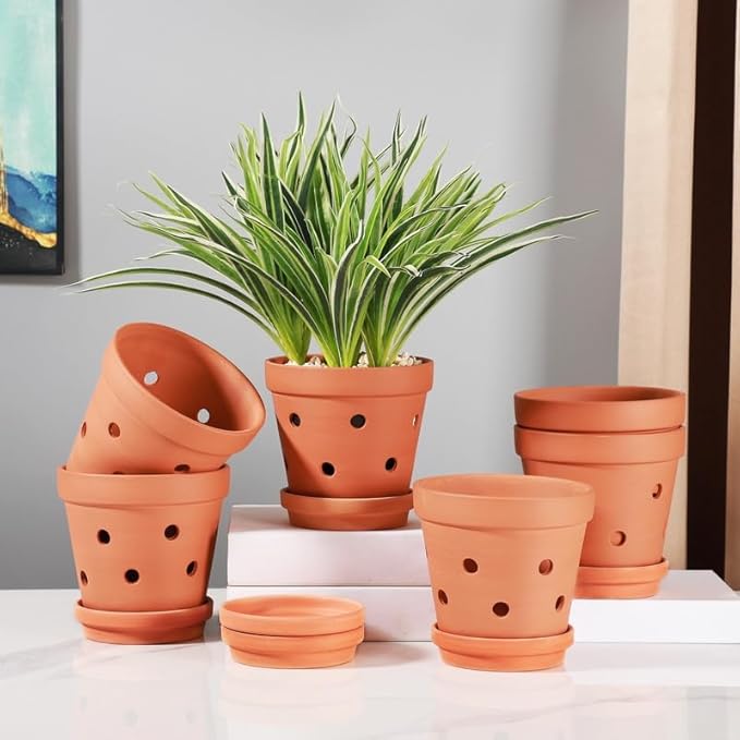 Yishang 6 Inch Clay Orchid Pots With Drainage Holes & Saucers - 6 Pack Large Terracotta Planters for Repotting, Indoor & Outdoor Plant Flowers, Promotes Air Circulation