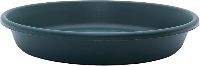 The HC Companies Flower Pot Saucers - Plastic Plant Saucer for Outdoors & Indoors - Traditional Design Plant Pot Trays for Water Drainage - Durable & Stylish Round Plant Tray (10-inch Evergreen)