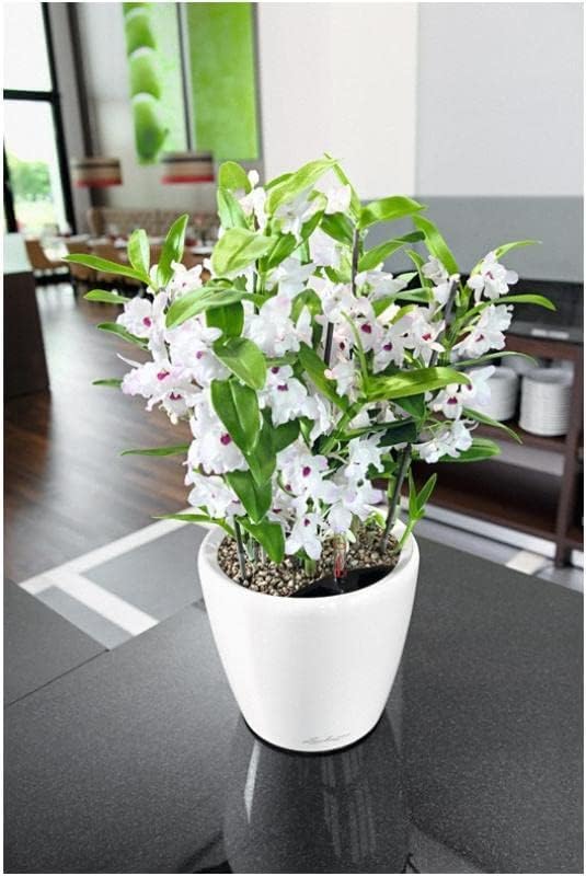 Lechuza Classico LS 35 White High Gloss, Self-Watering Round Planter, D13.8 H13 in