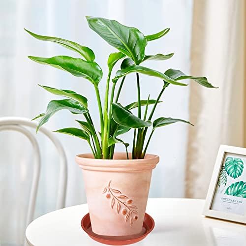 6 Pack of 12 inch Plant Saucer, Plastic Plant Saucer 12", Plant Saucers for Indoors, Plant Water Tray, Plant Trays for Pots, Planter Tray, Plant Saucers for Planter 11-13" (12", Terracotta)