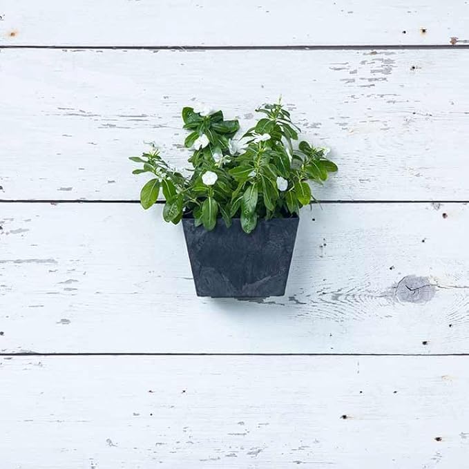 Root & Vessel Self Watering Wall Planters for Indoor or Outdoor Plants, Unique Marbled Wall Pot, Made of Eco-Friendly Blend of Stone and Plastic, Black, 8.5"