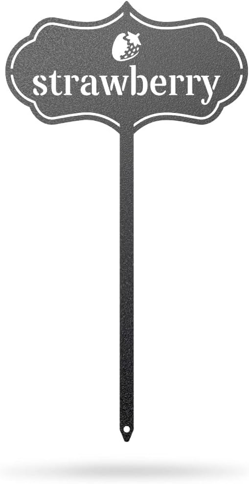 RealSteel - Seed & Plant Markers - Indoor/Outdoor Herb Garden Stakes - Elegant Fruit/Vegetable Seed Labels - Durable Plant Tags for Pots - Classy Design for Farmhouse/Greenhouse (Strawberry)
