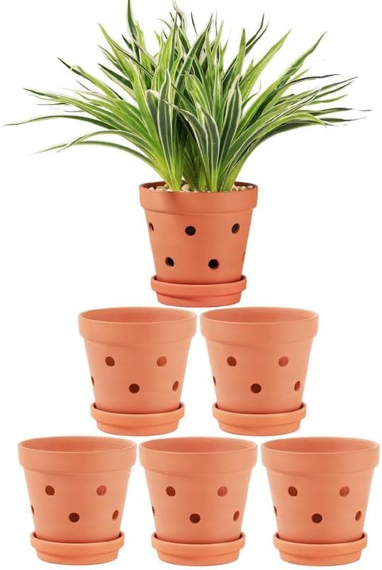 Yishang 6 Inch Clay Orchid Pots With Drainage Holes & Saucers - 6 Pack Large Terracotta Planters for Repotting, Indoor & Outdoor Plant Flowers, Promotes Air Circulation