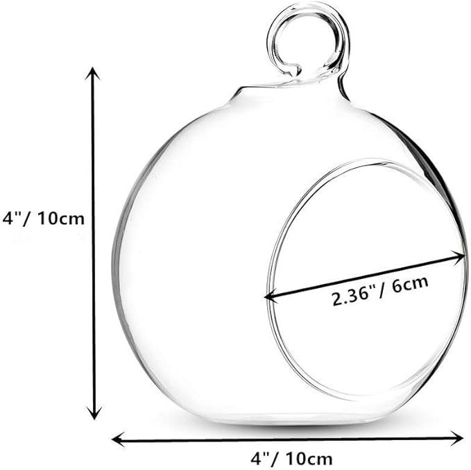Set of 8 Air Plant Holder Hanging Glass Globe Tea Light Candle Holders Home Wedding Party Centerpieces Decor Indoor Outdoor Tealight Candleholders (8Pcs 4 inches Diameter)