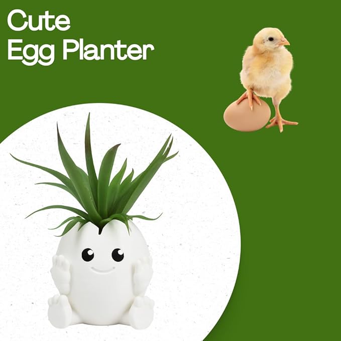 Cute Egg Shell Planter | Unique Dinosaur Tabletop Indoor or Outdoor Planter Pot | Flowers, Succulents, or Vegetable Pot | Made in USA (Cute Egg, Small)