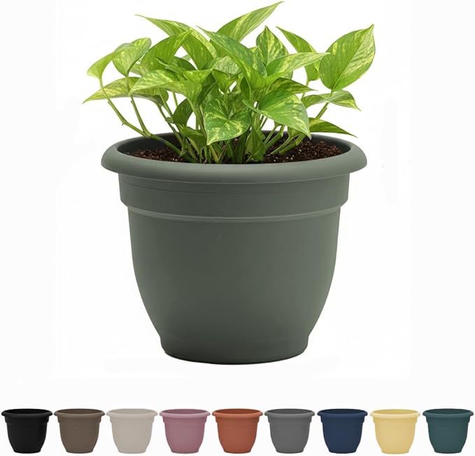 Bloem Ariana 6" Basil Round Self-Watering Resin Planter Pot - Rolled Rim Indoor and Outdoor Gardening Planter