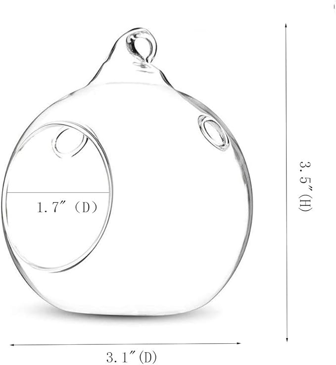 3” Hanging Glass Planter Round Candle Holder Succulents Terrarium Decorations Succulent, Tillandsia, Air Plants ， 6 Packs