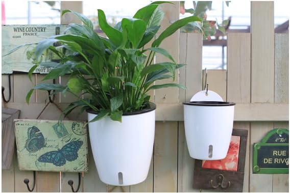 Visible Water Level Self Watering Planter,Hanging Planters,Wall Mounted Plants Holder,Small Flower pots Indoor Out Flowerpot with 3 Hooks Plastic Pots for Plants 3 Pack (White, 5.5inch)