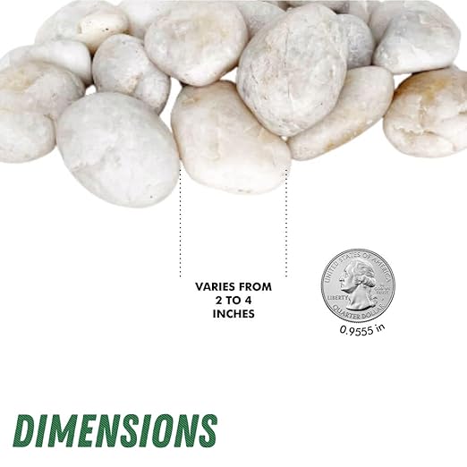 PGN White River Rocks for Plants - 40 Pounds - White Rocks with Smooth, Polished Surfaces - 1-3 Inch Stones for Planters, Aquarium Decorations, Vase, Fireplace, Landscaping, Outdoor Decor