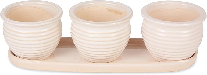 Accent Plus Cream Round Ceramic Small Planter (Set of 3)