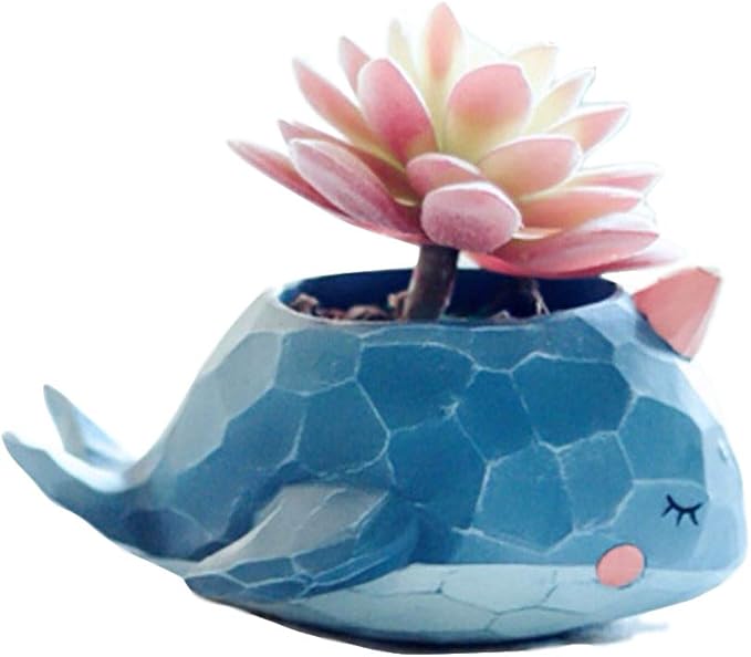 Cute Resin Whale Meaty Pot by SWONVI, Succulent Pots with Drainage Resin Mini Flower Pot Garden Plants Vase Desk Flower Decoration (Whale)