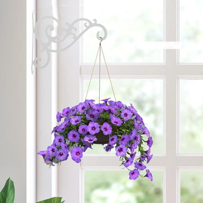 Garden Wall Mount Hanging Plant Bracket Decorative Hook for Pots Baskets and Wind Chimes Planter Holder for Outdoor and Indoor Use
