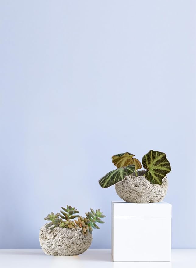 Serene Spaces Living Earthly Pumice Bowl Vase, Lava Rock Vase for Flowers, Candle Holder - Perfect for Living Rooms, Kitchens, Bedrooms, Office, Weddings, Small- Pack of 12