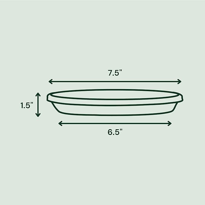 Bloem Terra Resin Saucer Tray: 6.5" Bottom Width - Chocolate Brown - Matte, Durable, Ribbed Bottom, Indoor and Outdoor, Fits 8" Terra Pots