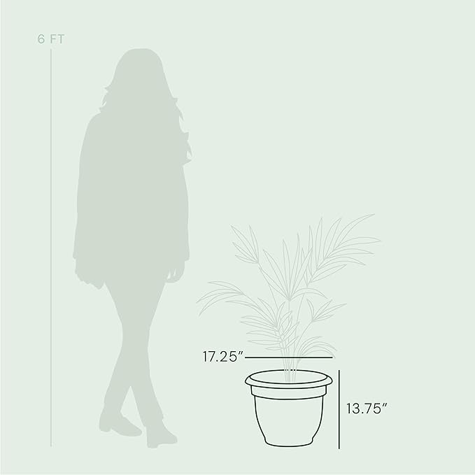 Bloem Ariana Self Watering Planter: 16" - Chocolate - Durable Resin Pot, for Indoor and Outdoor Use, Self Watering Disk Included, Gardening, 6 Gallon Capacity