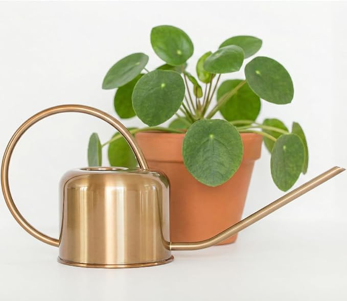 Stainless Steel Watering Can for Houseplants by Houseplant Resource Center | 1L Capacity for Indoor/Outdoor Plants in Brushed Gold