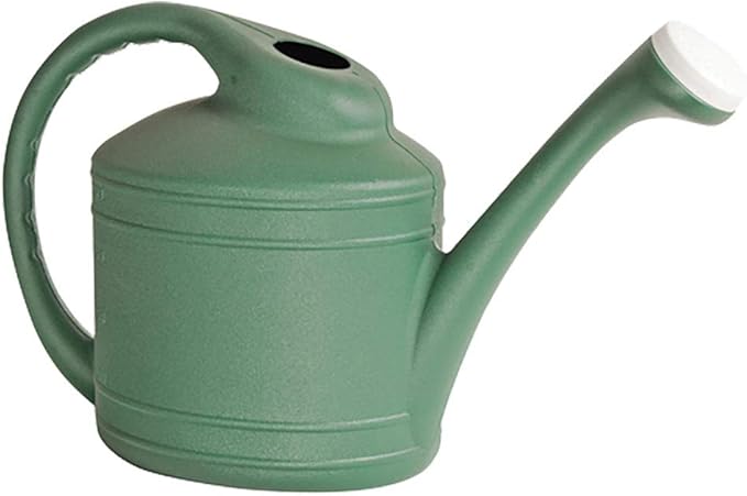 Southern Patio Large 2 Gallon Durable Plastic Rainfall Garden Plant Water Can with Removable and Easy to Fill Spout, Green (2 Pack)