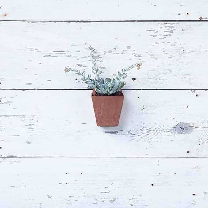 Root & Vessel Self Watering Wall Planters for Indoor or Outdoor Plants, Unique Marbled Wall Pot, Made of Eco-Friendly Blend of Stone and Plastic, Rust, 5.5"