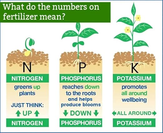 𝐏𝐑𝐎𝐅𝐄𝐒𝐒𝐈𝐎𝐍𝐀𝐋 8-10-10 Professional Fertilizer for Banana, Flowering, and Fruit Trees, Ornamentals - Boosts Flowering & Fruiting - for Indoor & Outdoor Plants (16 OZ)
