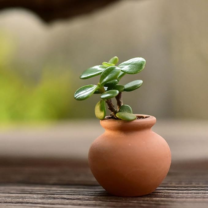 Mini Clay Pots 6Pcs Mini Terracotta Clay Pots Pottery Planter Flower Cotta ature Terre for DIY Garden Dollhouse