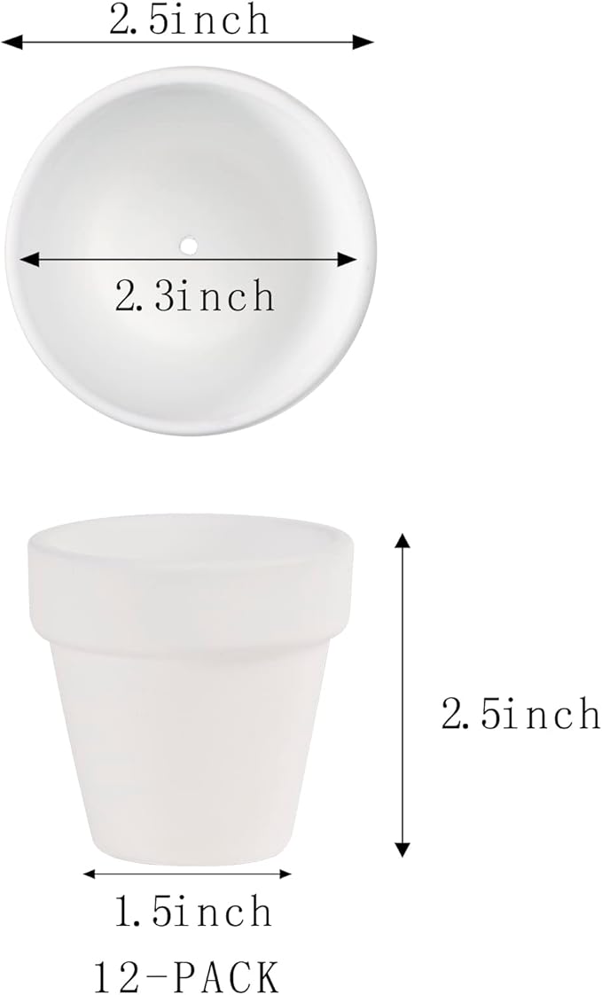 12 PCS Small Mini White Clay Pots with Drainage Holes, 2.5inch Terra Cotta Pot Clay Ceramic Pottery Planter,Succulent Nursery Pot/Cactus Plant Pot,for Indoor/Outdoor Plants,Crafts,Wedding Favor