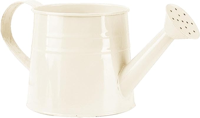 Watering Can Gardening Tool Accessories, Sprinkling Can 1L Metal Flower Garden Watering Can for Outdoor Indoor Plants Lawn Garden (White)