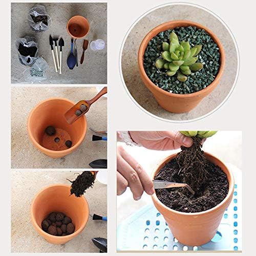 OLEEP Clay Pots - 10 Pack (5.5 inch) Large Terra Cotta Plant Pot with Drainage Hole,Garden Pots, Clay Planters Pot, Terracotta Pot for Indoor Outdoor Plant