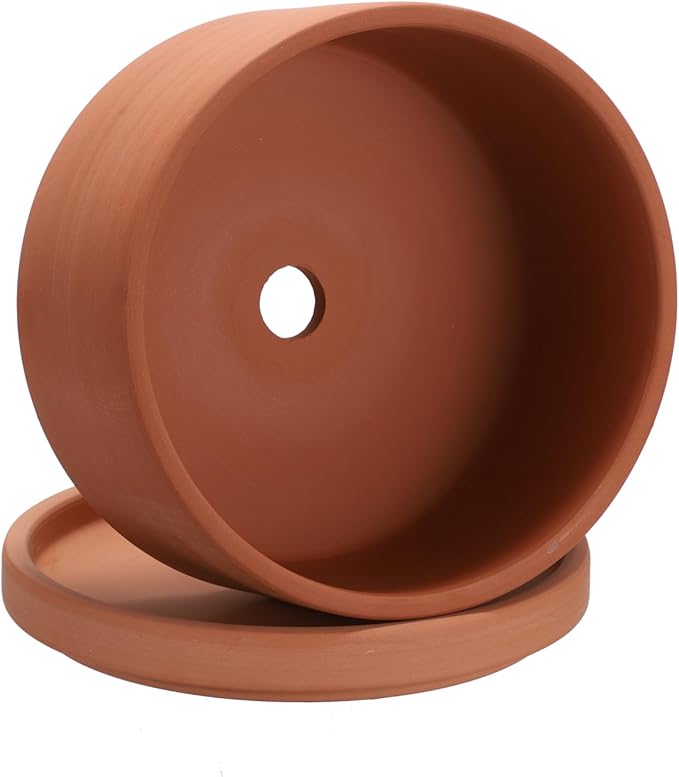 JUXYES 6 Inch Terracotta Shallow Pot with Holes and Saucers, Round Cylinder Succulent Planter Clay Flower Pots for Indoor and Outdoor Use, Decorative Bonsai Succulent for Mini Foliage Plants Orchids