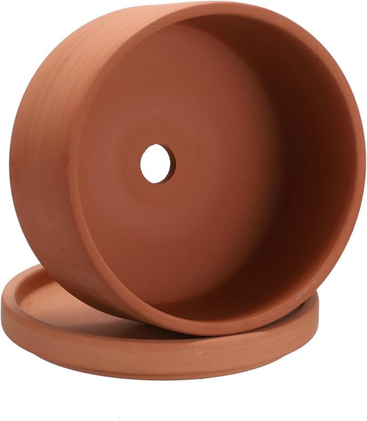 JUXYES 6 Inch Terracotta Shallow Pot with Holes and Saucers, Round Cylinder Succulent Planter Clay Flower Pots for Indoor and Outdoor Use, Decorative Bonsai Succulent for Mini Foliage Plants Orchids