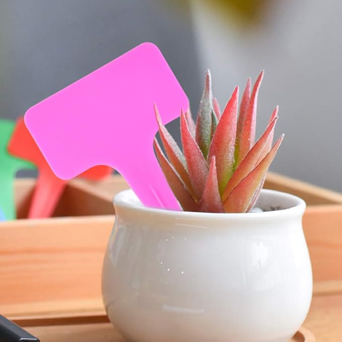 HOVEOX 200 PCS 10 Color Plastic Plant Tags, T-Type Markers Nursery Garden Labels Stakes for Gardening Green House Humidity Dome Orchard Botanical Garden Assorted Color
