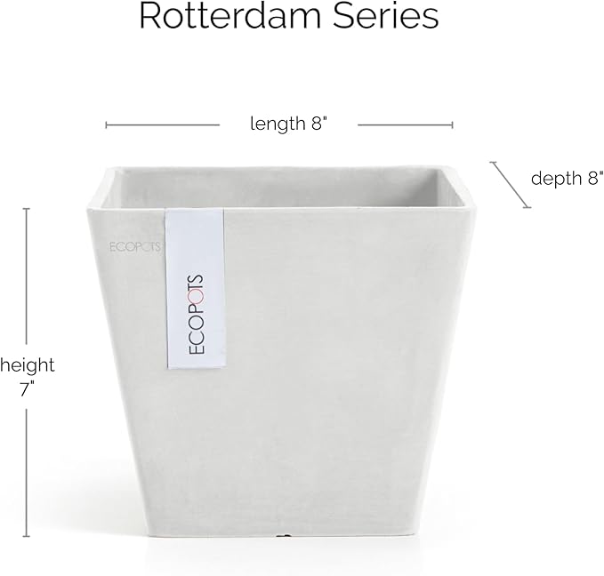 Ecopots Rotterdam Durable Modern Square Indoor/Outdoor Recycled-Based Composite Flower Planter, Pure White, 8"