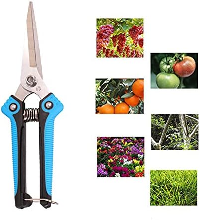 Garden Scissors, Pruning Shears with Straight Blades, Florist Scissors, Multi-Tasking Garden Snips for Arranging Flowers, Trimming Plants and Harvesting Herbs, Fruits or Vegetables (Blue)