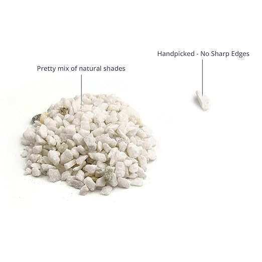 River Rocks Decorative Ornamental Vase Filler Aquarium Gravel White, Mini 5 lbs - Landscaping Pebbles for Indoor Plants, Fish Tank Gravel, Terrarium & Home Decor, DIY & Crafting – Royal Imports