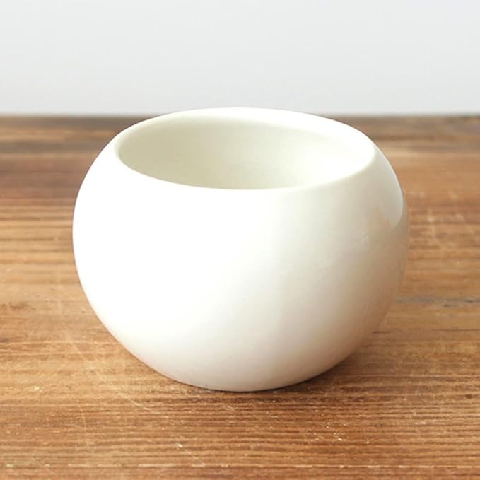 Angoily White Ceramic Plant Pots: Mini Pots Outdoor Garden Planters- Decorative Indoor Plant Pots- Garden Supplies Flowerpot Vase- Plants Succulent with Drainage Hole& Saucer