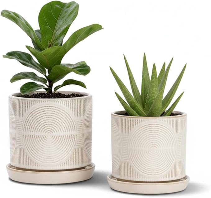 Ceramic Plant Pots, Set of 2, Pots for Plants(4.5+5.5inch), Flower Pots for indoor planters with drainage and tray, Indoor Plant Pots for Succulents Cactus Herbs - Small Planters for Home Office Decor