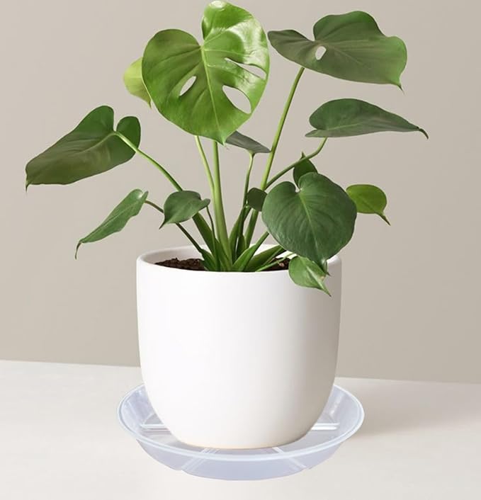 10 Packs Plant Saucer, 6 8 10 inch Clear Plant Saucers, Durable Round Plastic Flower Plant Water Drip Tray for Pots Planter, Heavy Duty Plant Dish Pant Plate to Catch Water for Indoor & Outdoor