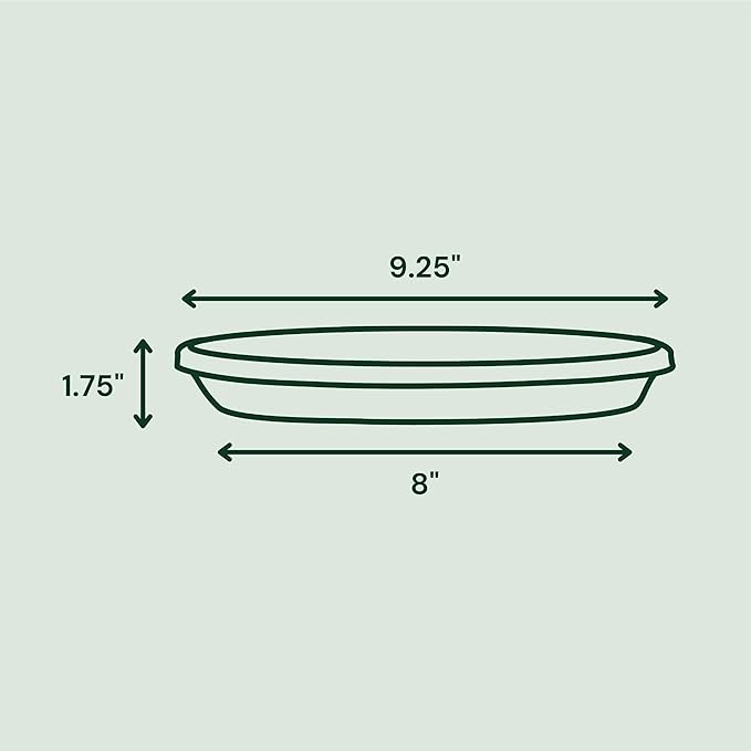 Bloem Terra Resin Saucer Tray: 8" Bottom Width - Pebble Stone Beige - Matte, Durable, Ribbed Bottom, Indoor and Outdoor, Fits 10" Terra Pots