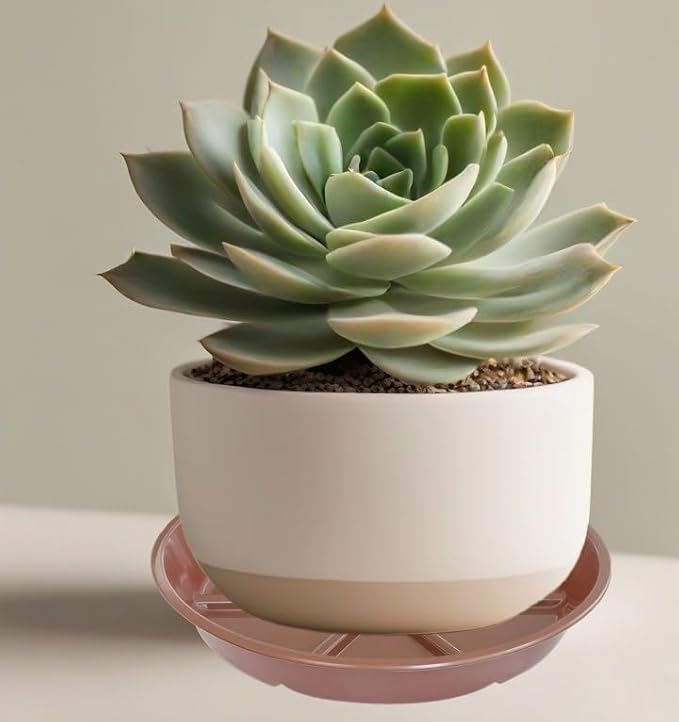 Plant Saucer Pot Tray 10 inch, 6 Packs Flower Planter Saucers, Durable Round Plastic Flower Plant Water Drip Tray for Pots Planter, Plant Dish Pant Plate to Catch Water for Indoor & Outdoor, Chocolate